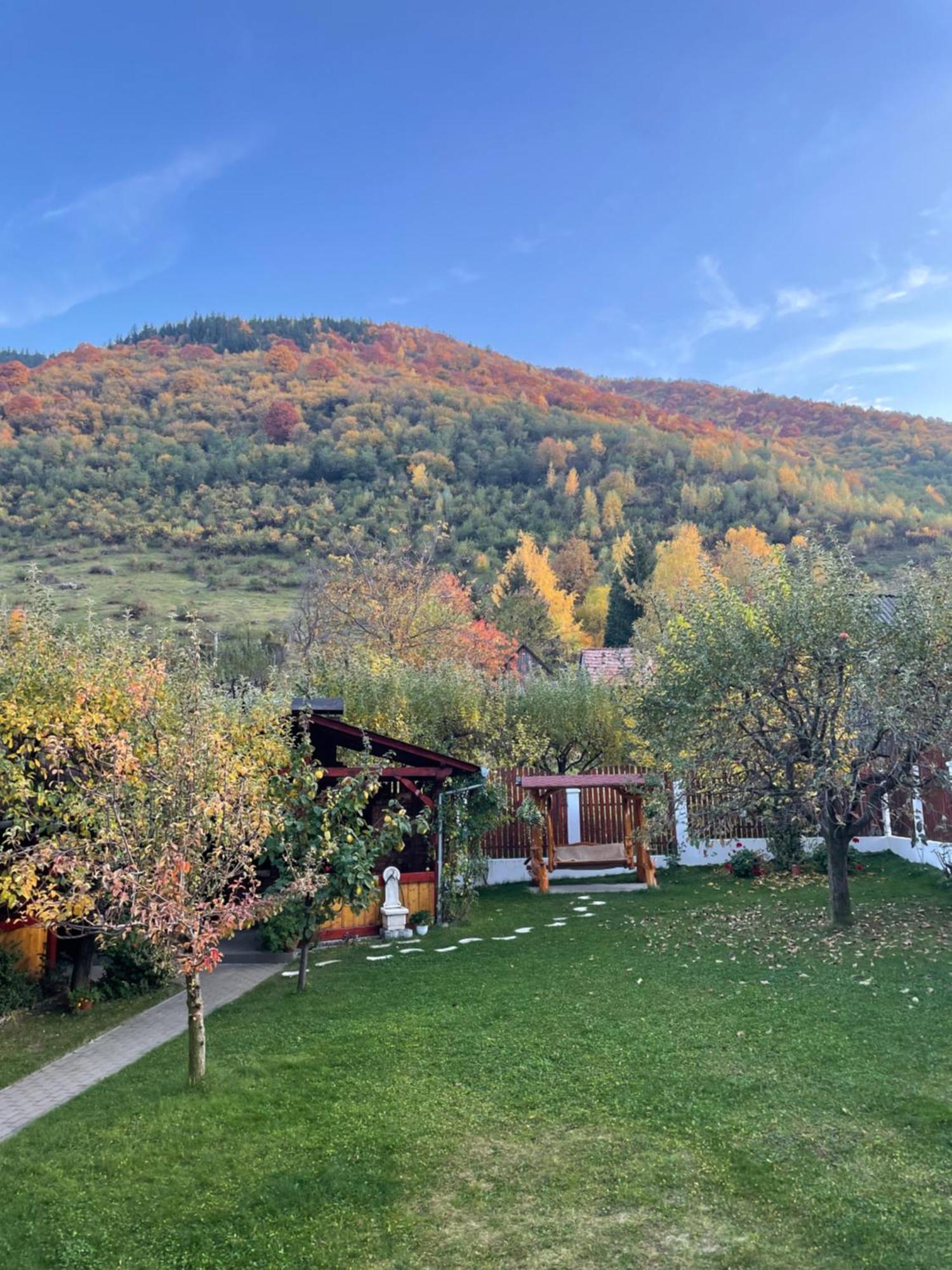 Pensiunea Vatafu Gura Rîului Buitenkant foto